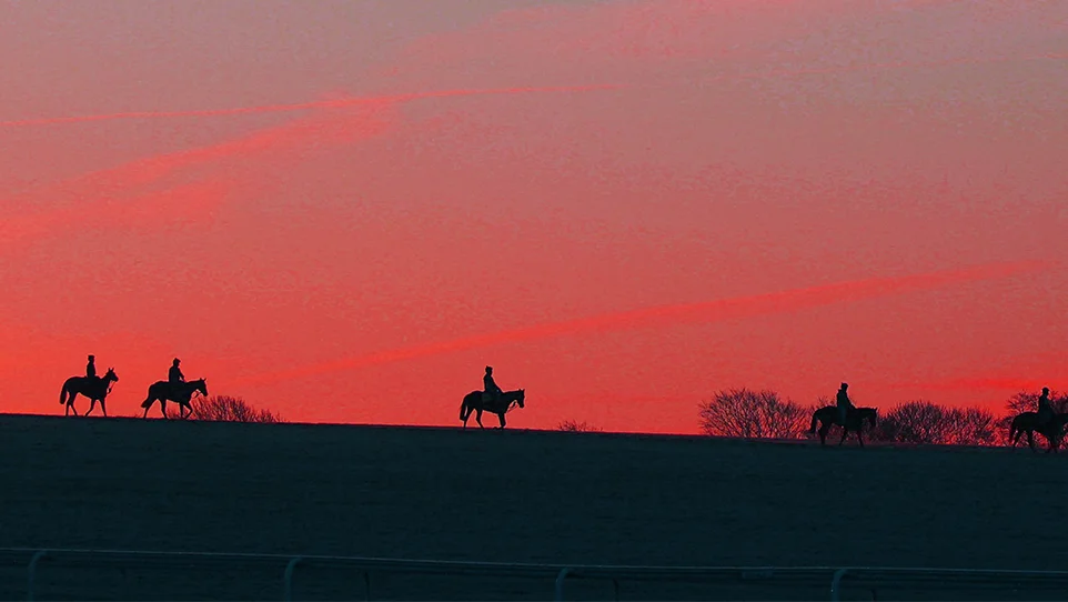 Menopause and midlife in racing webinars